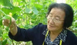 吃瓜爆料配乐是什么名字,揭秘“吃瓜爆料”神曲背后的故事